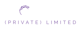 Bloomify-logo Bloomify-logo